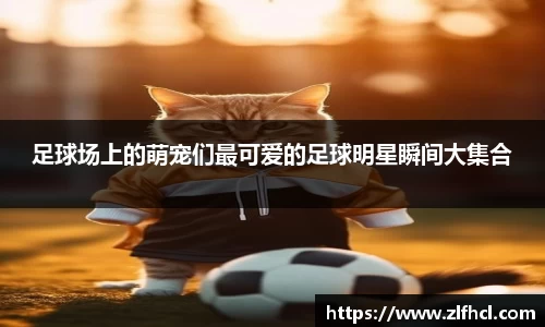 39153k1体育十年品牌值得信赖